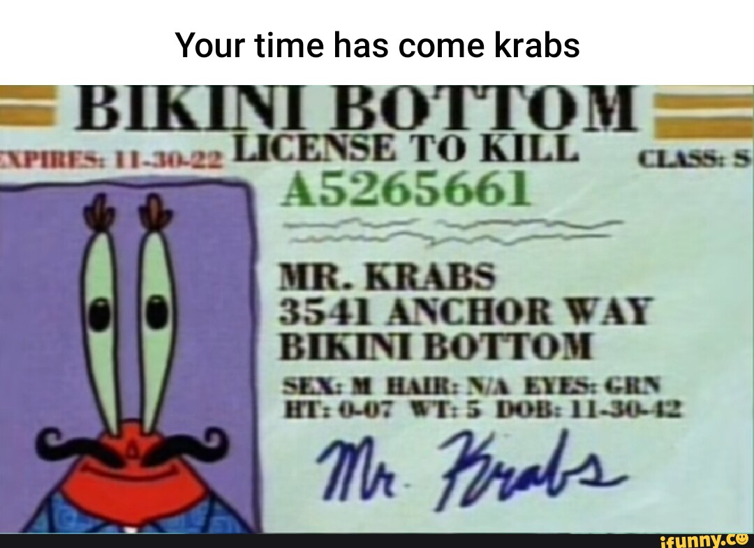 Your Time Has Come Krabs BIKINI LICENSE BOTTOM Xpmes 1 30 22