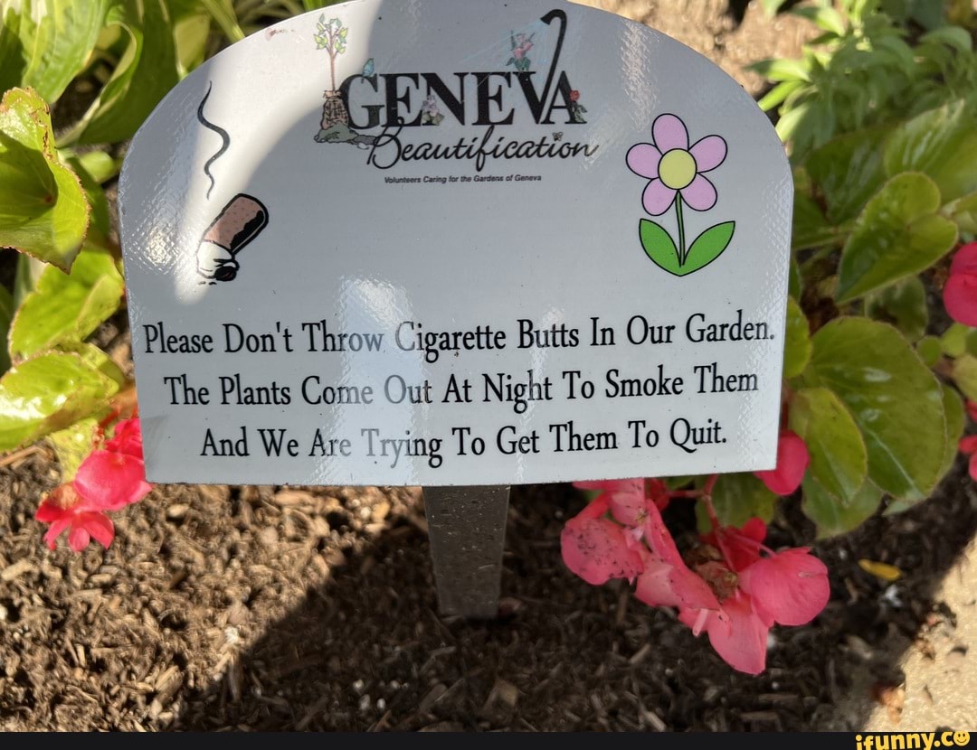 Please Don T Throw Cigarette Butts In Our Garden The Plants Come Out