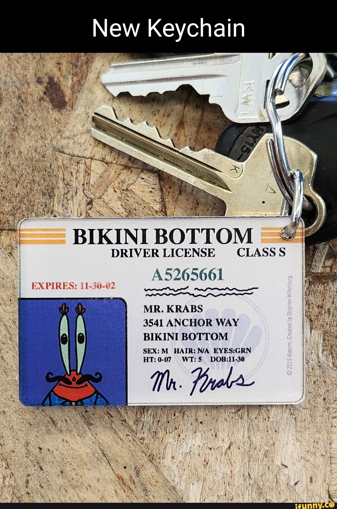 New Keychain Bikini Bottom Driver License Class S A Expires