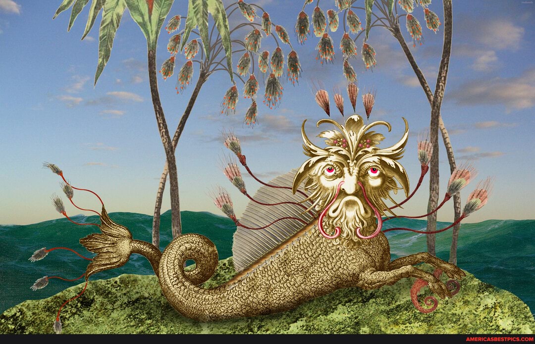monsters, cartoons, fantasy, islands