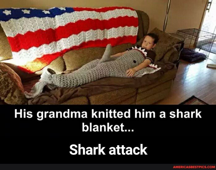His grandma knitted him a shark blanket...
Shark attack - Shark attack