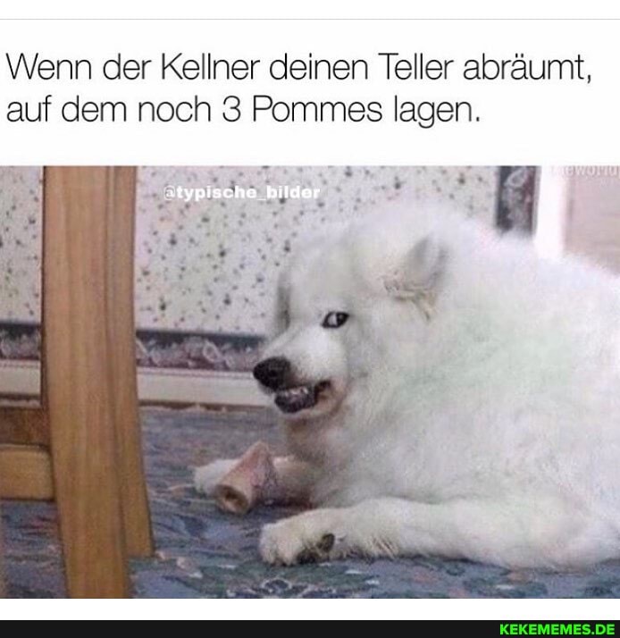 Wenn der Kellner deinen Teller abräumt,
auf dem noch 3 Pommes lagen.
"typische bildor