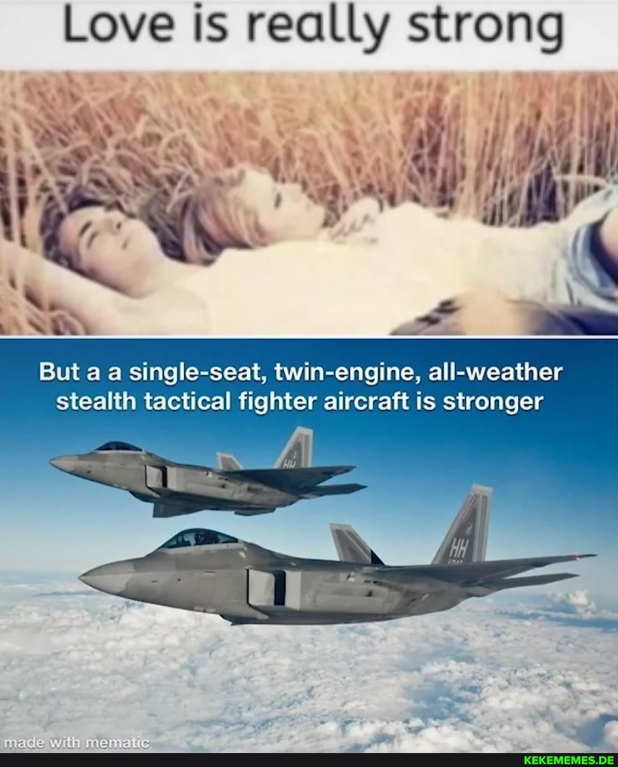 Love really strong
But single-seat, twin-engine, all-weather stealth tactical fighter aircraft is stronger
made with
