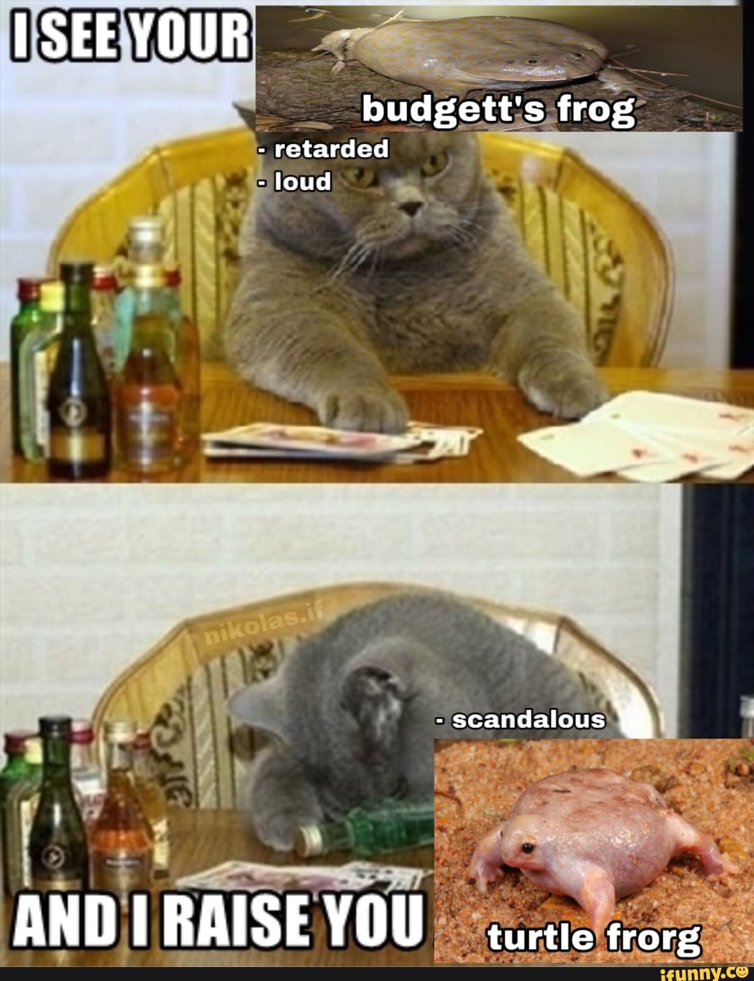 ss frog
- retarded loud
he
RAISE You frorg,