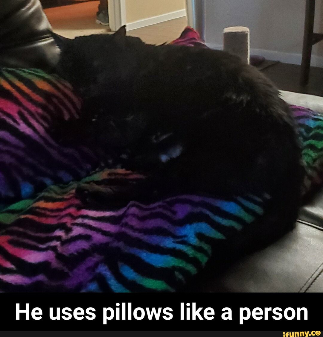 He uses pillows like a person - He uses pillows like a person