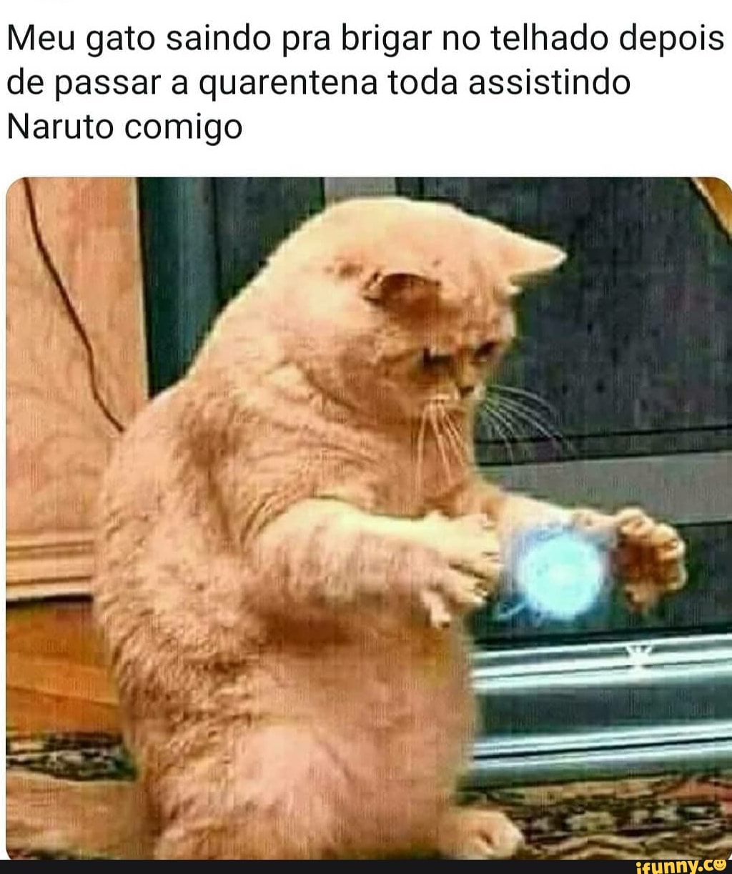 Meu gato saindo pra brigar no telhado depois
de passar a quarentena toda assistindo
Naruto comigo