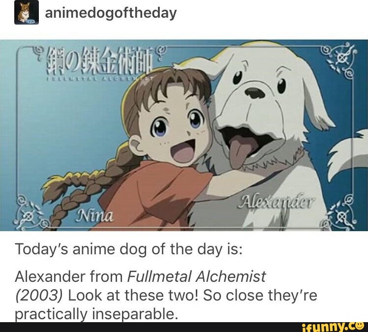 Today's anime dog of the day is: Alexander from