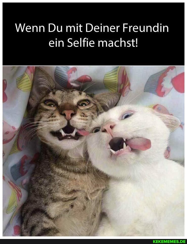 Wenn Du mit Deiner Freundin ein Selfie machst!