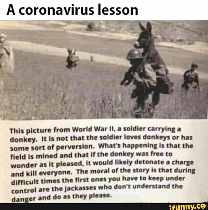 This picture from World War Il, a soldier carrying a
donkey. It is not that the soldier loves donkeys or has
some sort of perversion. What's happening is that the
field is mined and that if the donkey was free to
wonder as it pleased, it would likely detonate a charge
and kill everyone. The moral of the story is that during
difficult times the first ones you have to keep under
control are the jackasses who don't understand the
danger and do as they please.