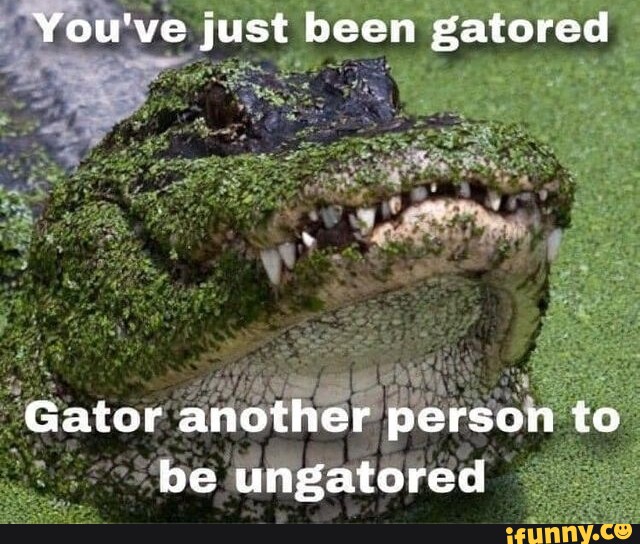 You've just been gatored Gator another person to be ungatored - seo.title