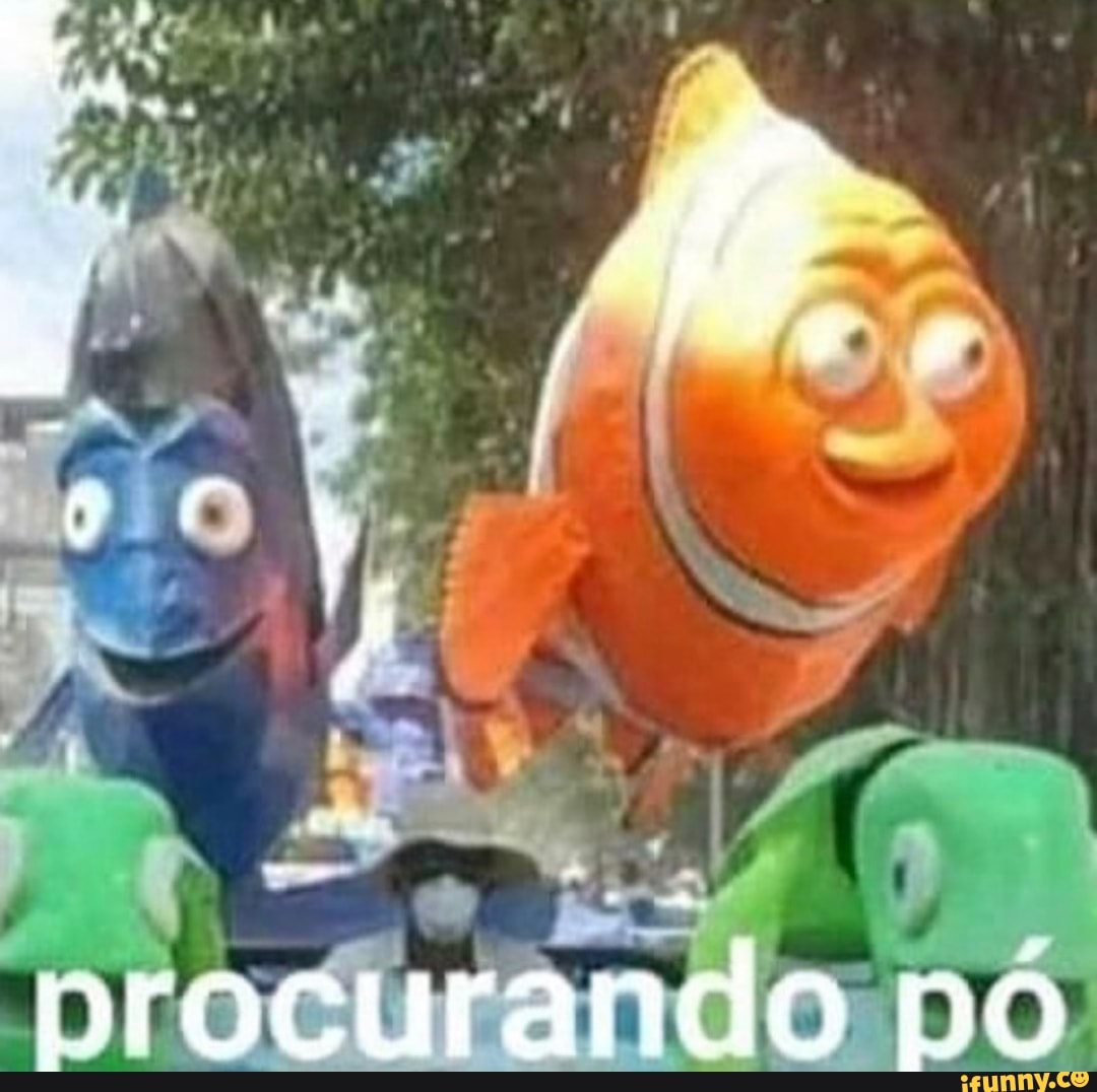 procurando po