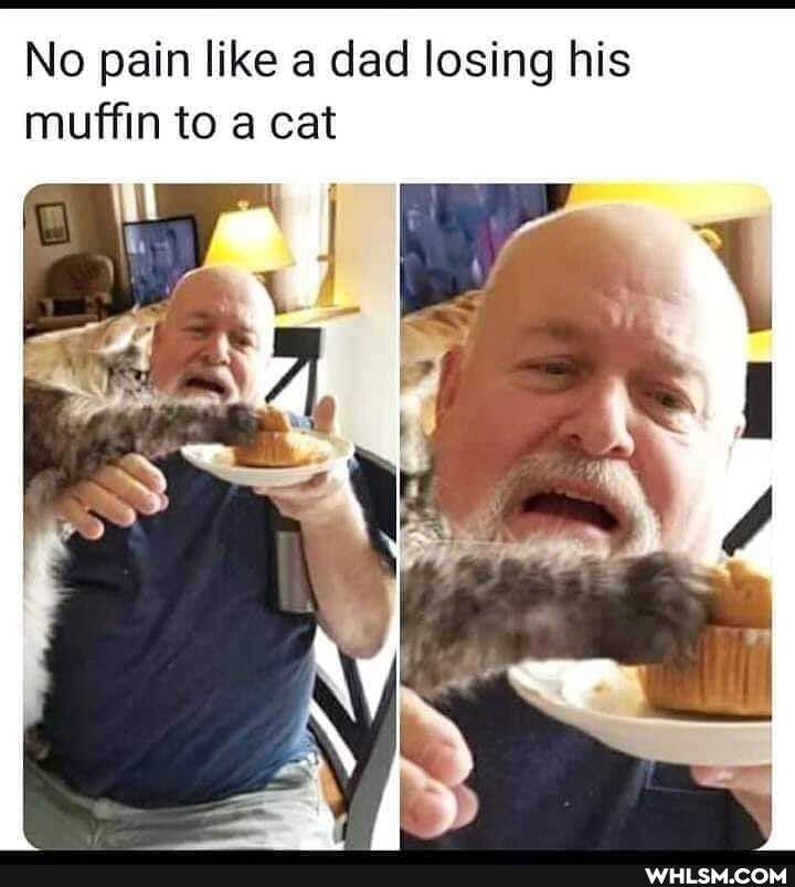 No pain like a dad losing his muffin to a cat