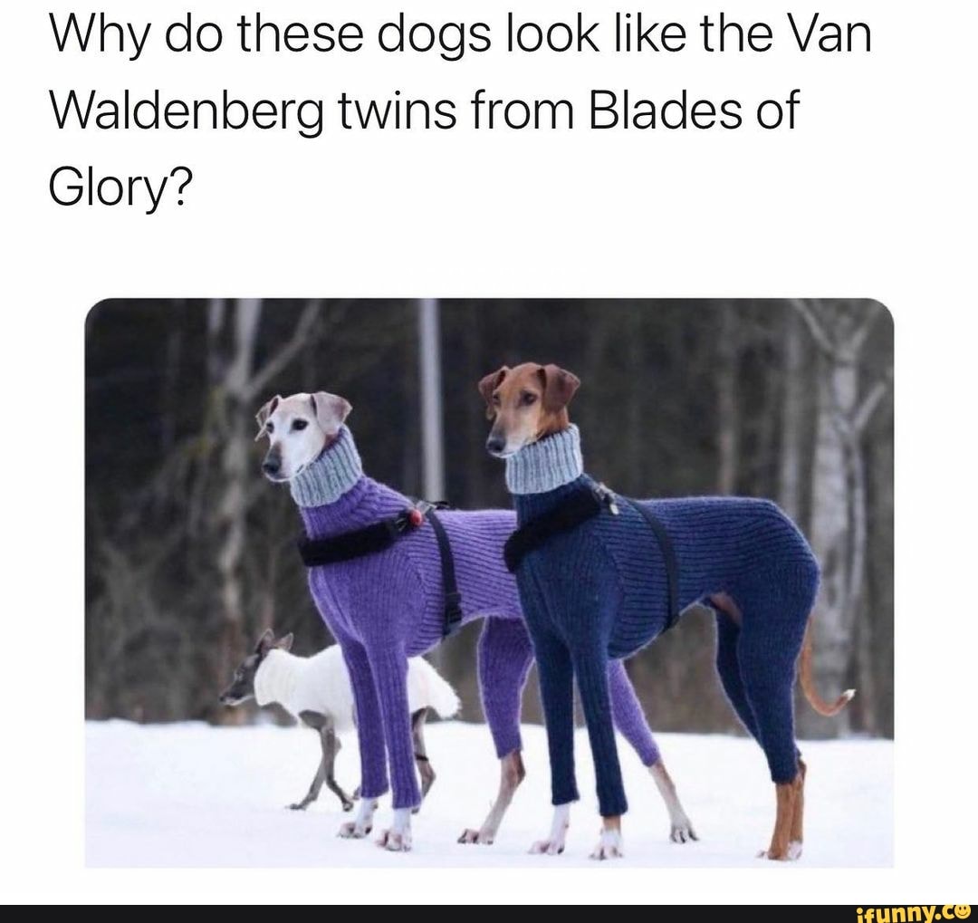 Why do these dogs look like the Van Waldenberg twins from Blades of