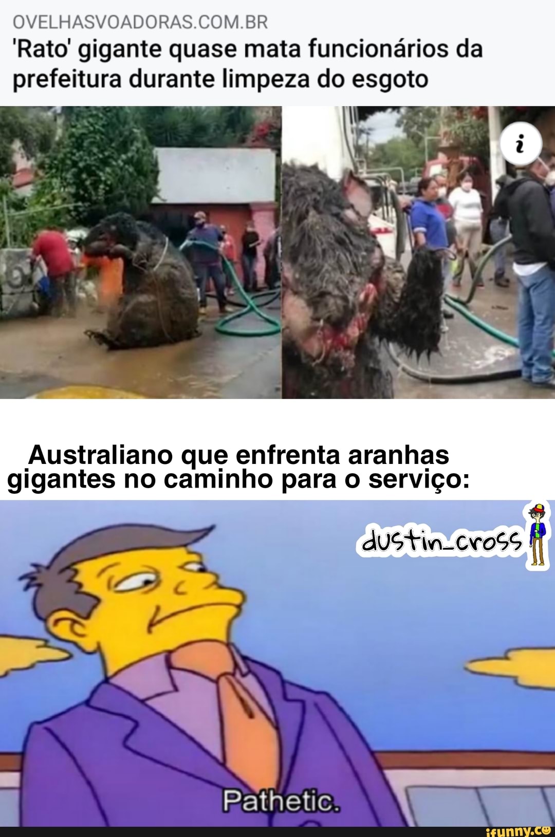 OVELHASVOADORAS COM BR
'Rato gigante quase mata funcionários da prefeitura durante limpeza do esgoto
Australiano que enfrenta aranhas gigantes no caminho para o serviço:
dUStin. cross
Pathetic.