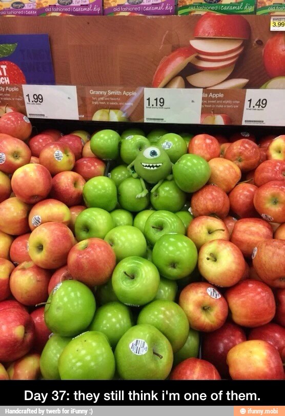 Day 37: they still think i'm one of them. - Day 37: they still think i'm one of them.
