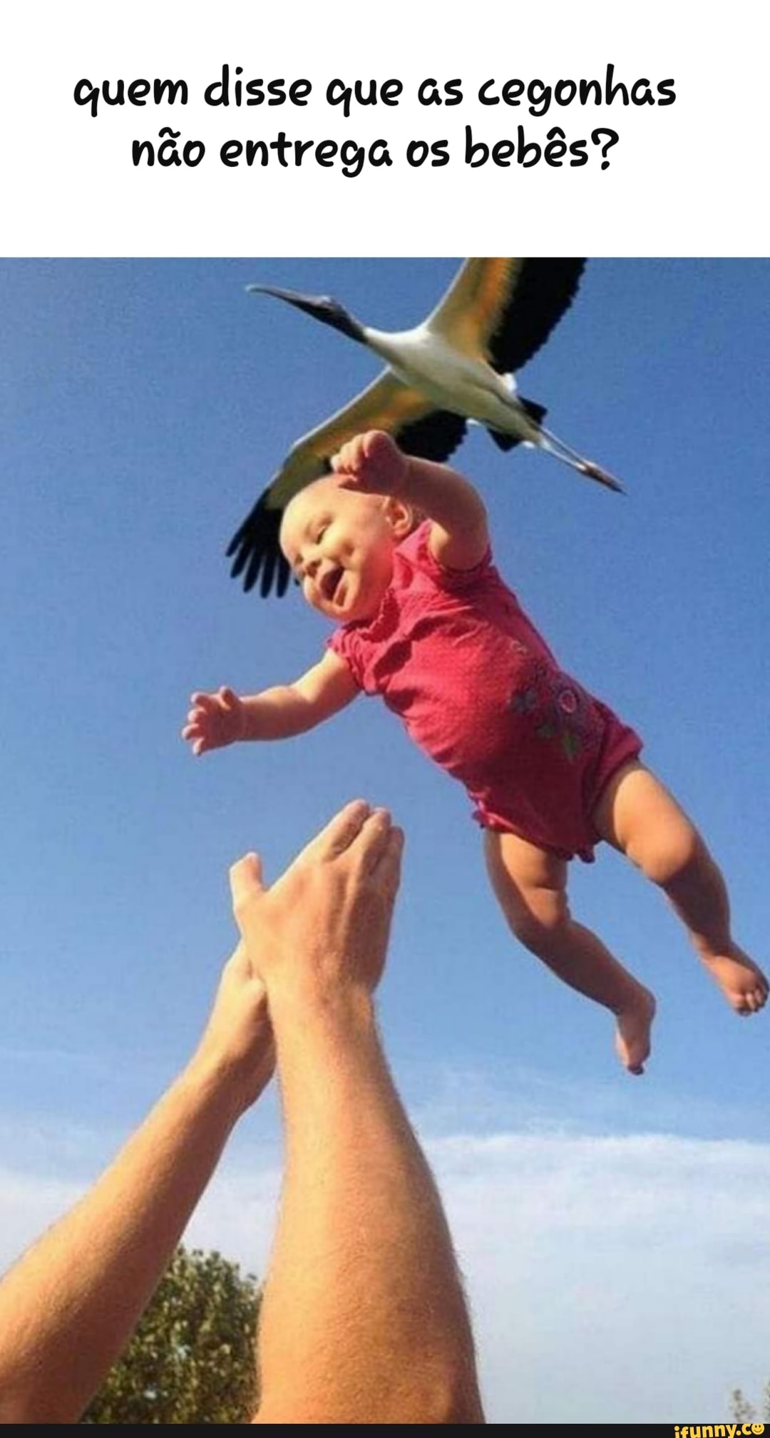quem disse que as cegonhas não entrega os bebês?
