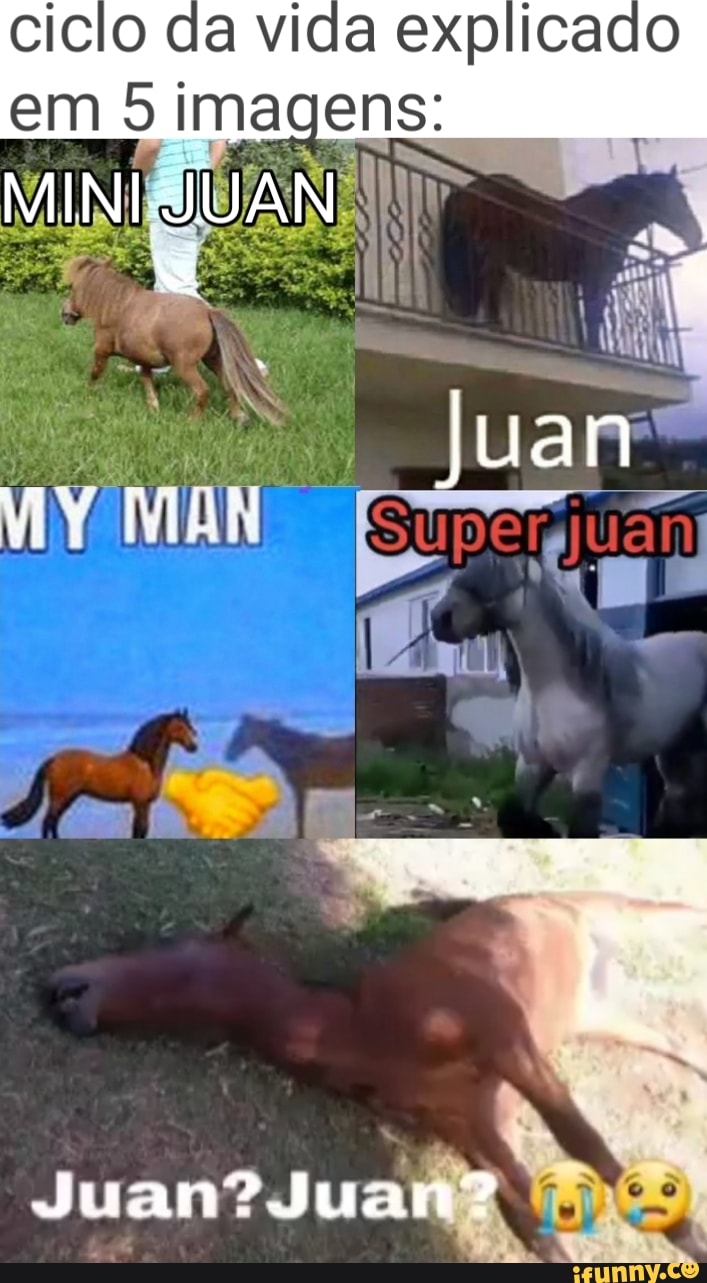 da vida explicado
em imagens: