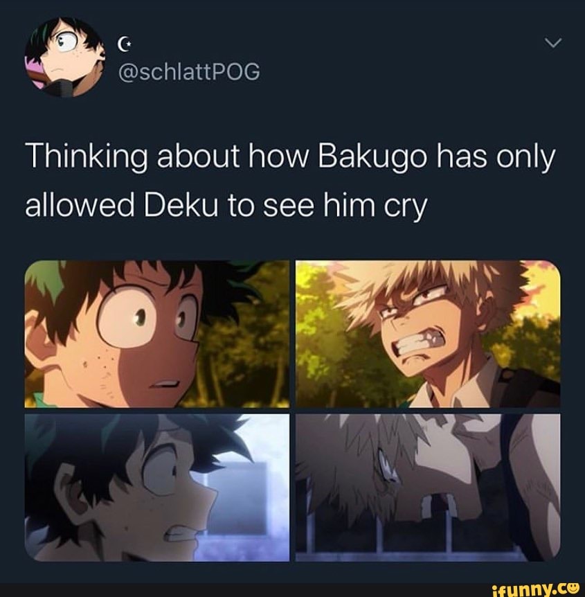 Thinking about how Bakugo has only allowed Deku to see him cry - iFunny