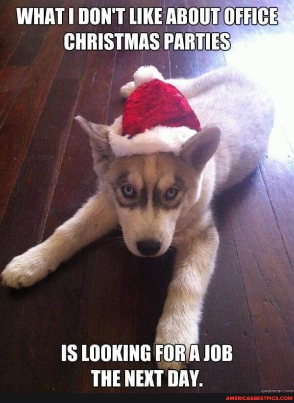 WHAT DON'T LIKE ABOUT OFFICE CHRISTMAS PARTIES
IS LOOKING FOR JOB THE NEXT DAY.