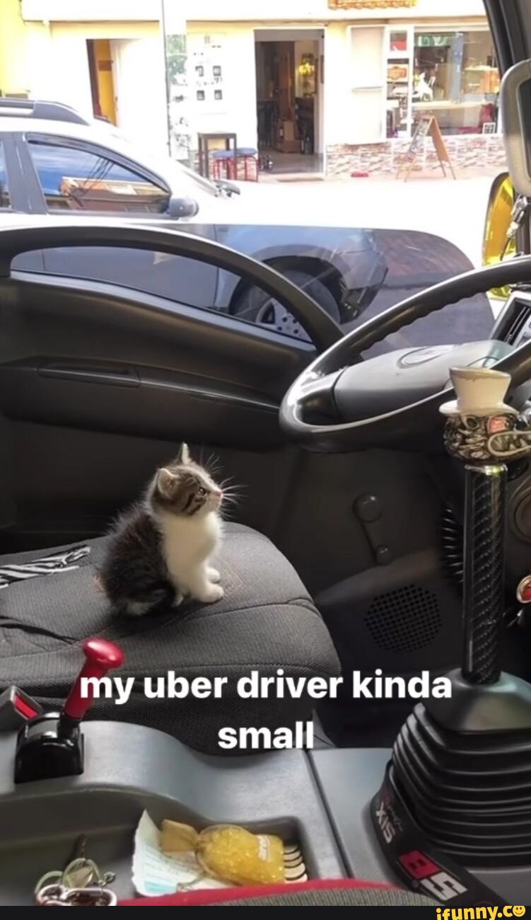 My uber driver kinda small iFunny