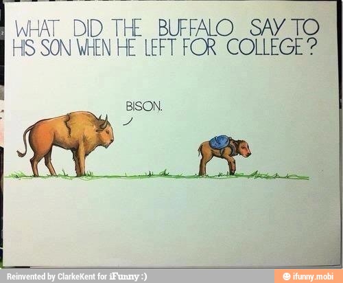 WHAT DID
wie BUFFALO SAY TO
HS SON WHEN HE LEFT FOR COLLEGE?