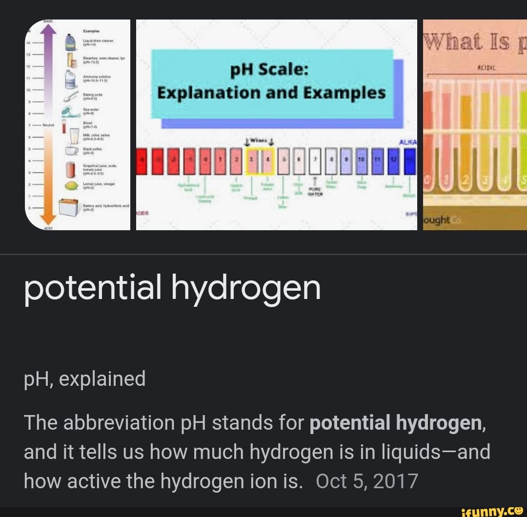 PH Scale Explanation and Examples potential hydrogen pH, explained The