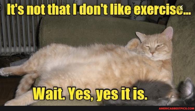 It's not that don't like exercise.