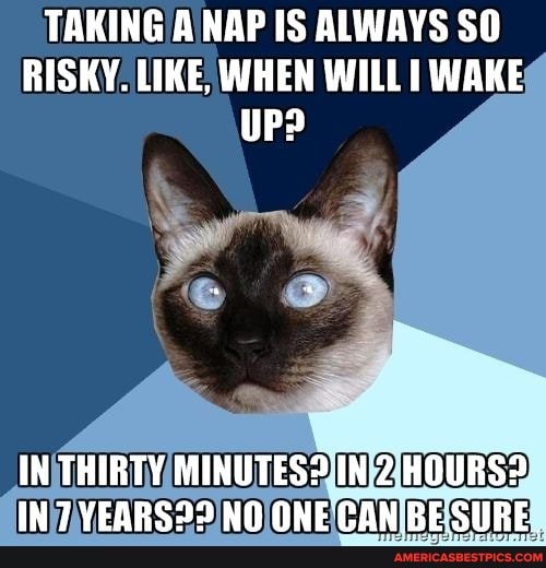 TAKING A NAP IS ALWAYS SO RISKY. LIKE, WHEN WILL WAKE UP?
IN THIRTY MINUTES? IN 2 HOURS?
NO ONE CAN BE SURE.