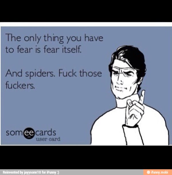 The only thing you have
to fear is fear itself.
And spiders. Fuck those
fuckers.
som@cards