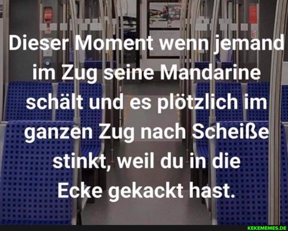 Dieser Moment wenn jemand im Zug seine Mandarine schält und es plötzlich im ganzen Zug nach Scheiße stinkt, weil du in die
Ecke gekackt hast.