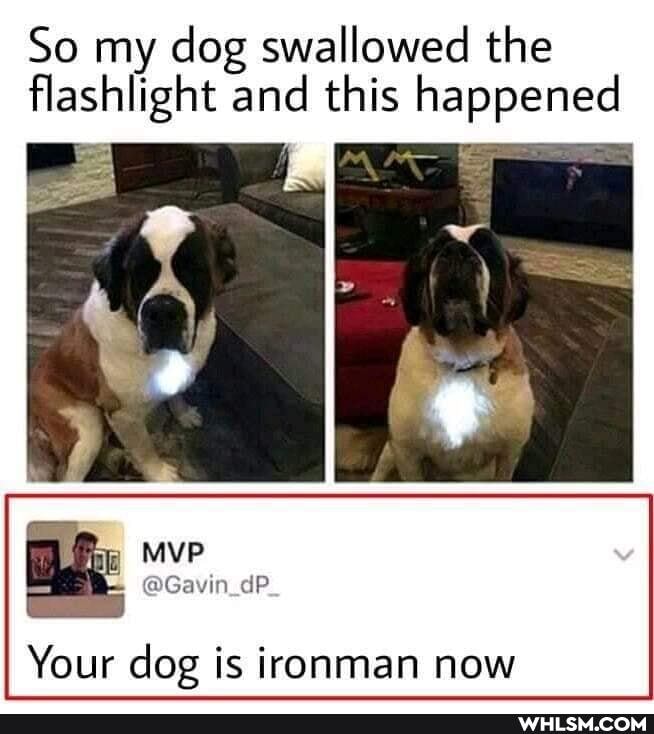 So my dog swallowed the flashlight and this happened
Your dog is ironman now