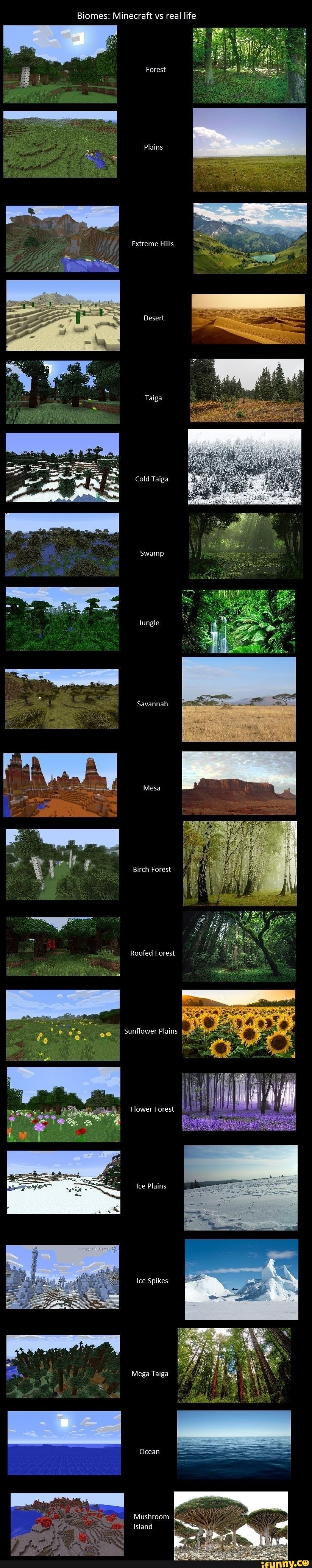 Biomes: Minecraft vs real life