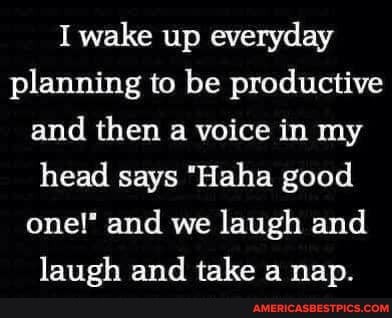 I wake up everyday planning to be productive and then a voice in my head says "Haha good one!" and we laugh and
laugh and take a nan