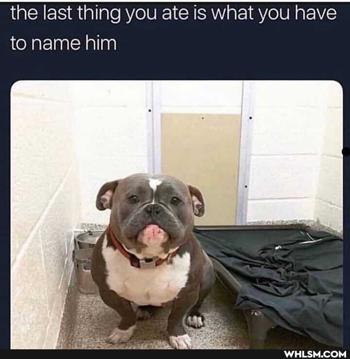 the last thing you ate is what you nave
to name him