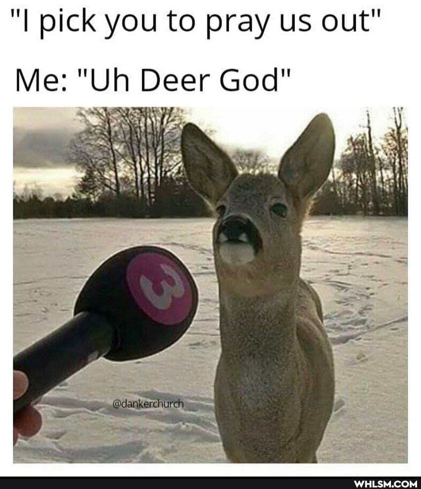 "I pick you to pray us out"
Me: "Uh Deer God"