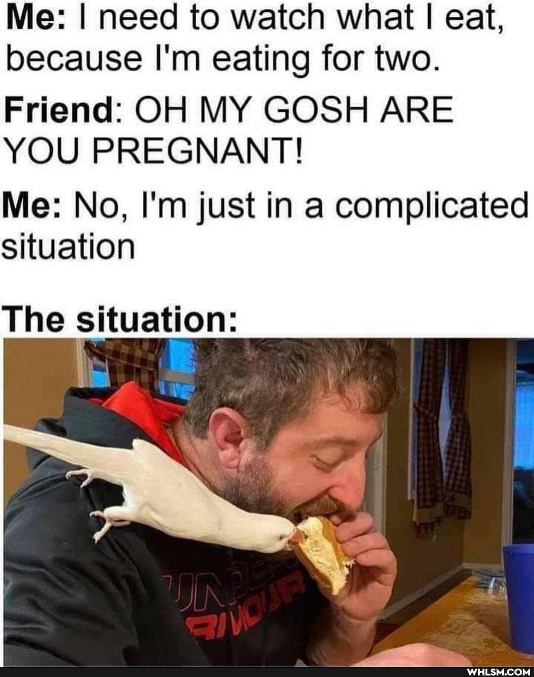 Me: I need to watch what I eat, because I'm eating for two.
Friend: OH MY GOSH ARE YOU PREGNANT!
Me: No, I'm just in a complicated situation
The situation: