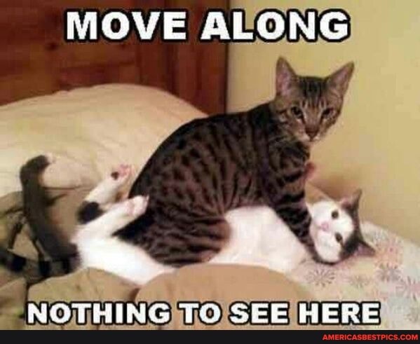 MOVE ALONG
NOTHING SEE HERE