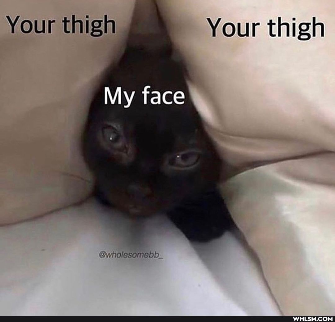 Your thigh Your thigh
My face
@wholesomebb.