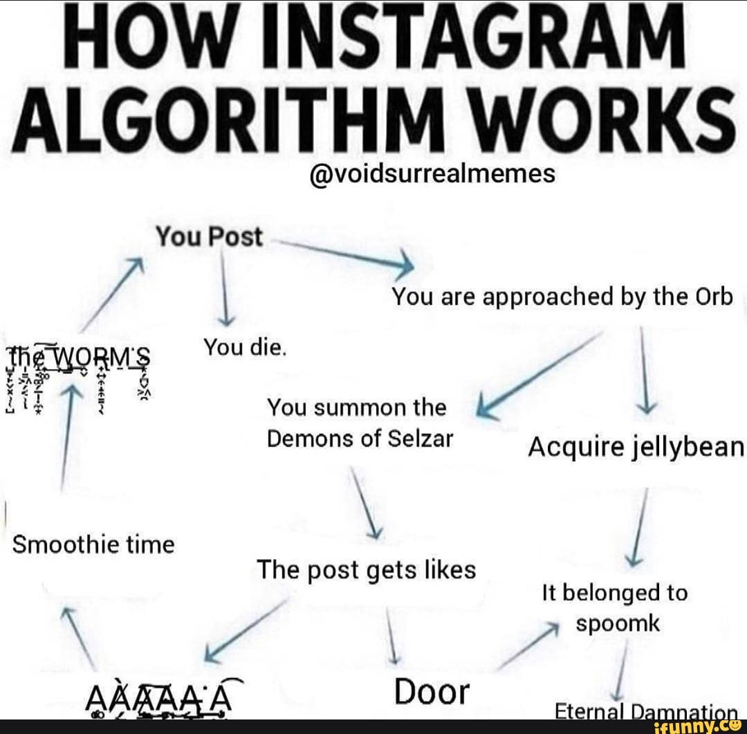 HOW INSTAGRAM ALGORITHM WORKS @voidsurrealmemes You Post You are ...