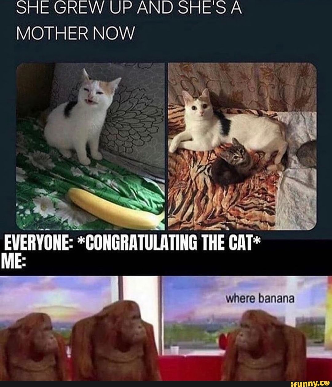 SHE GREW UP AND SHES A MOTHER NOW
where banana