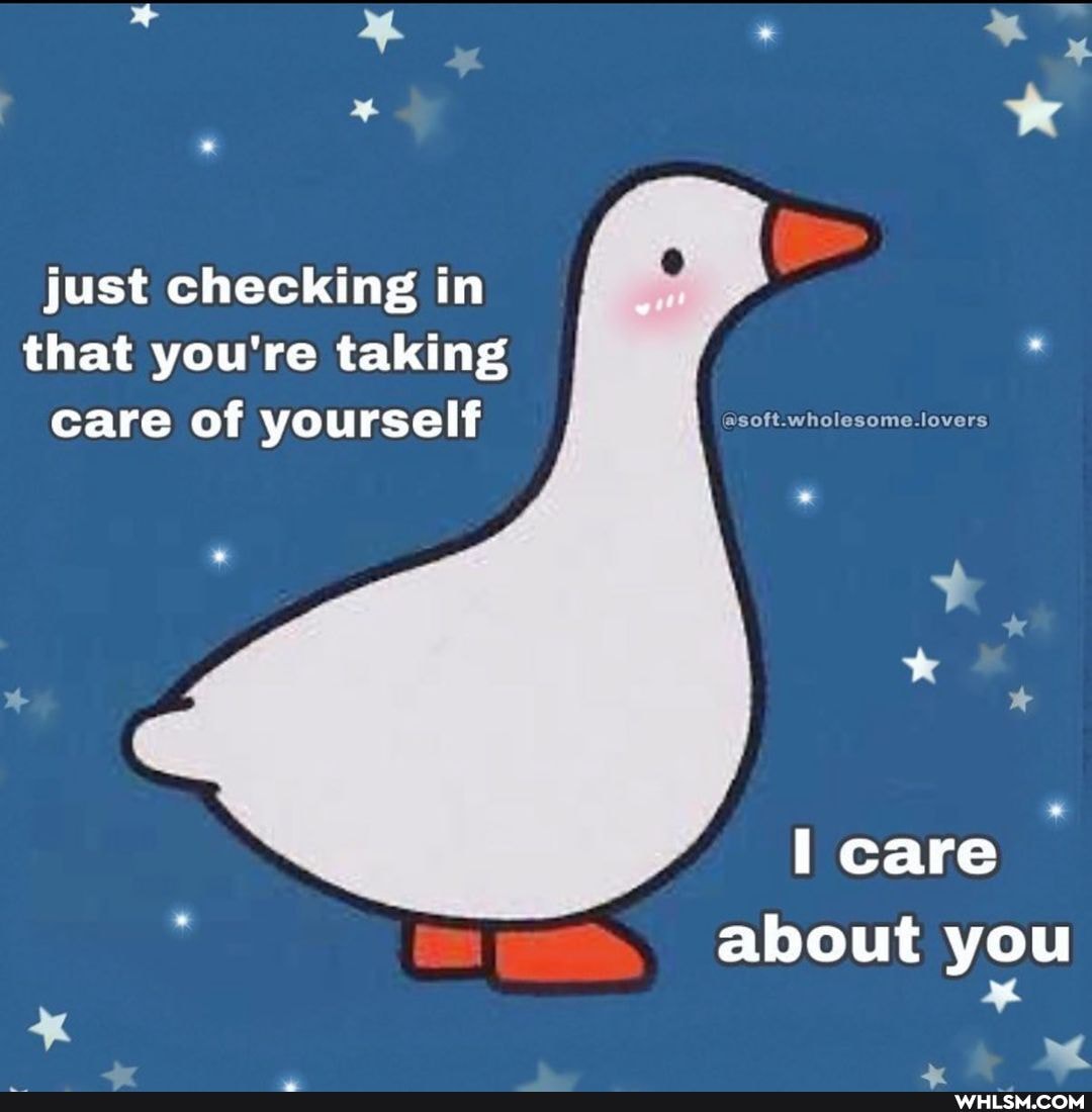 just checking in that you're taking care of yourself
I care about you