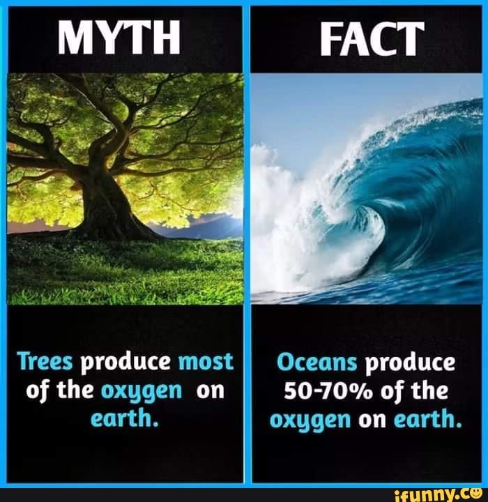 MYTH FACT Trees produce most of the oxygen on earth. Oceans produce of the oxygen on earth. iFunny