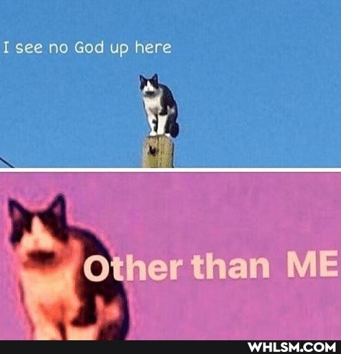 I see no God up here
than