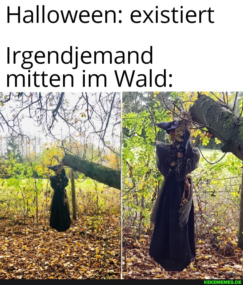 Halloween: existiert
Irgendjemand
'mitten im Wald: