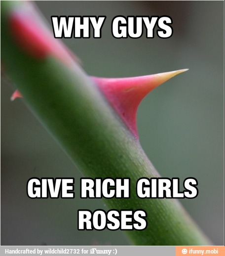Why GUYS
GIVE RICH
GIRLS
ROSES
À
