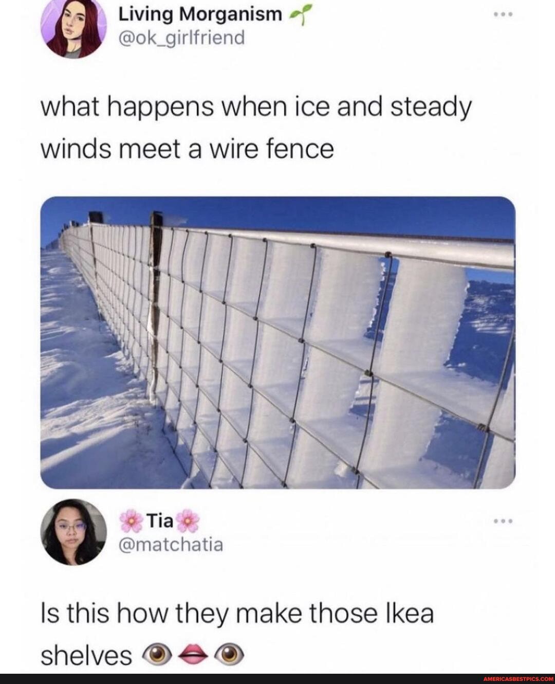 Living Morganism
@ok_girlfriend
what happens when ice and steady winds meet a wire fence
Tia
@matchatia
Is this how they make those Ikea chelvac