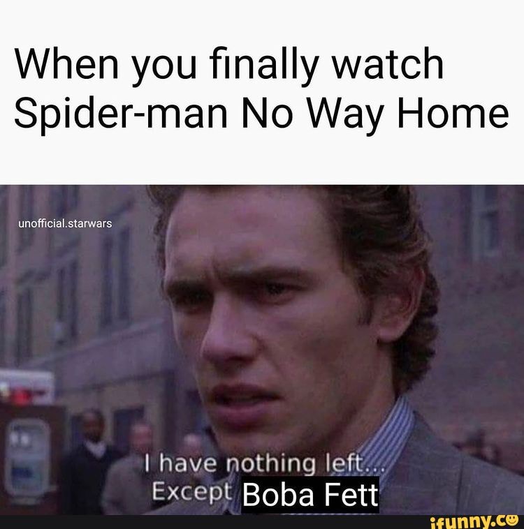 When you finally watch Spider-man No Way Home I have nothing left ...