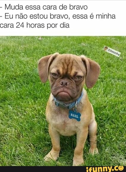Muda essa cara de bravo
Eu não estou bravo, essa é minha
ara 24 horas por dia
