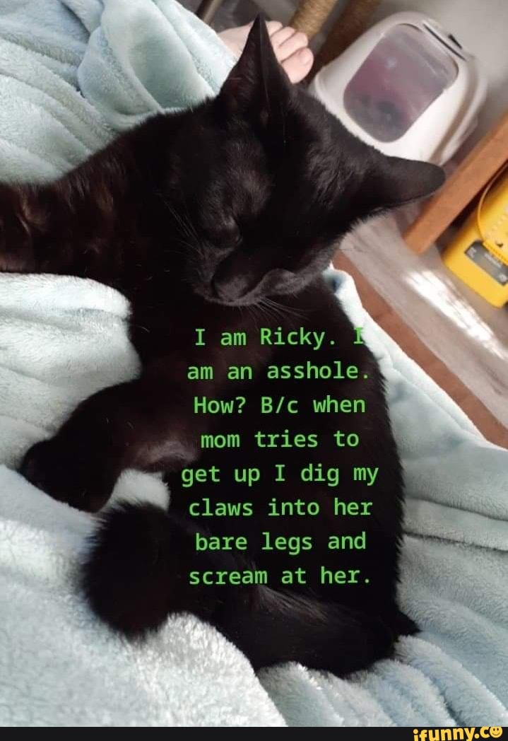 bare legs and
scream at her.