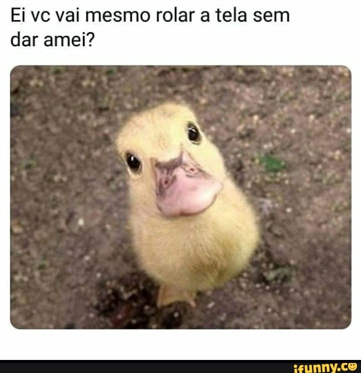 Ei vc vai mesmo rolar a tela sem dar amei?